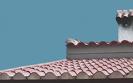 Servicio de Mantenimiento de Tejados en San Leonardo de Yagüe